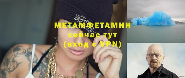 прущие грибы Бугульма