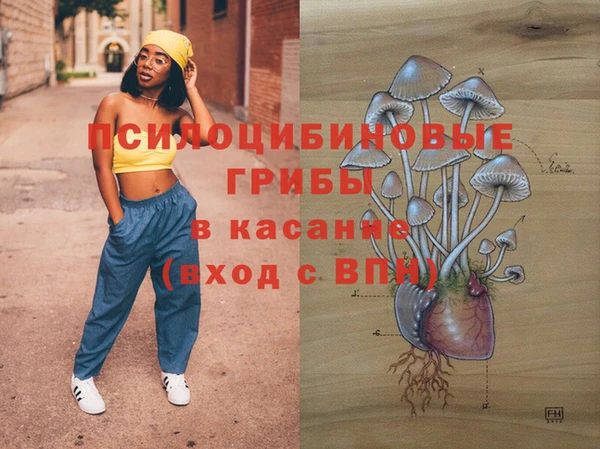 экстази Богородицк