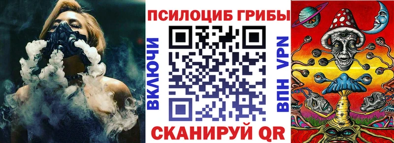 Псилоцибиновые грибы Psilocybe  Верхняя Тура 